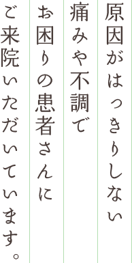 原因がはっきりしない痛みや不調でお困りの患者さんにご来院いただいています。